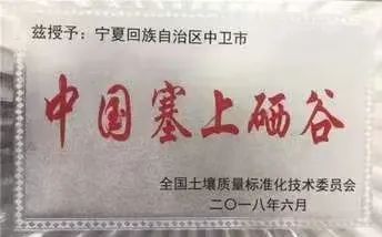 硒砂瓜主要卖什么产品（硒砂瓜行情）-硒宝网