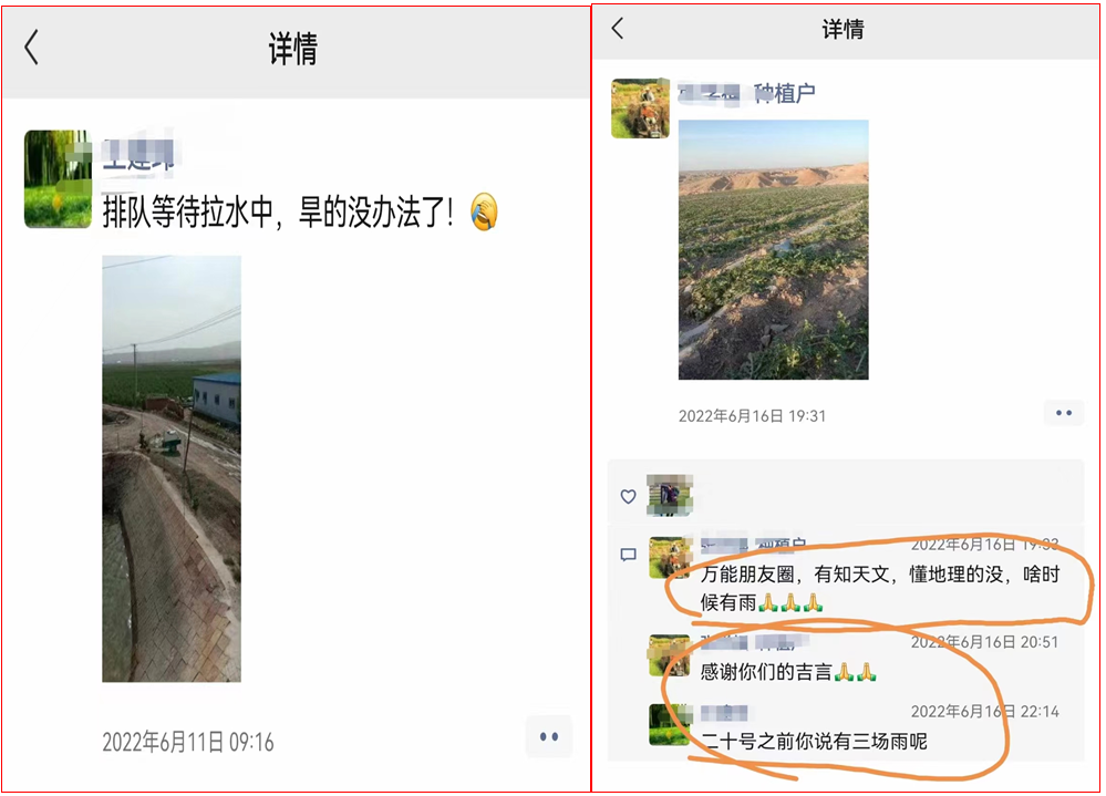 硒砂瓜主要卖什么产品（硒砂瓜行情）-硒宝网