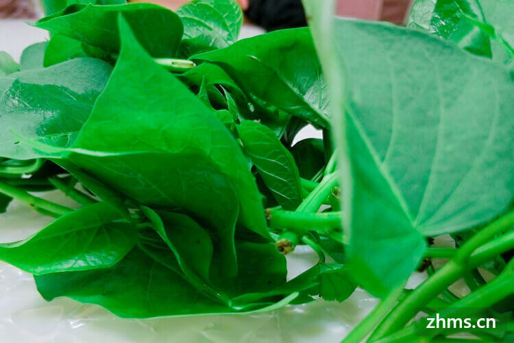 补锌最好的食物（食物补锌的最佳选择是）-硒宝网