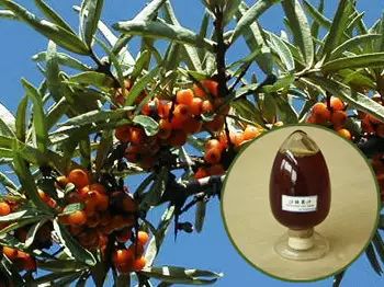 中至集团的硒产品曝光（硒产品的骗局黑名单）-硒宝网