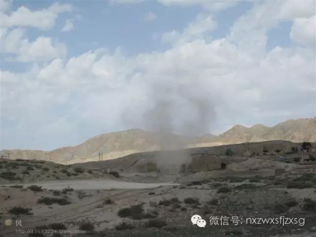 硒砂瓜主要卖什么产品(硒砂瓜批发)-硒宝网