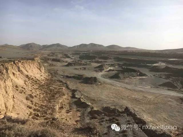 硒砂瓜主要卖什么产品(硒砂瓜批发)-硒宝网