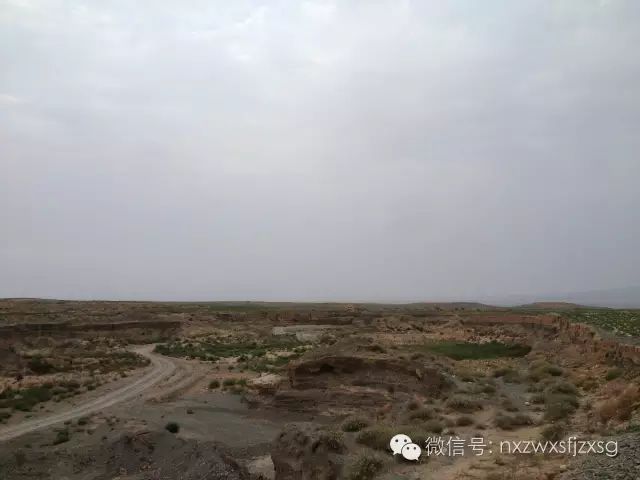 硒砂瓜主要卖什么产品(硒砂瓜批发)-硒宝网