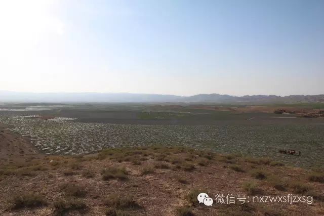 硒砂瓜主要卖什么产品(硒砂瓜批发)-硒宝网