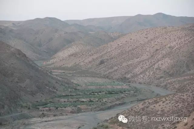 硒砂瓜主要卖什么产品(硒砂瓜批发)-硒宝网