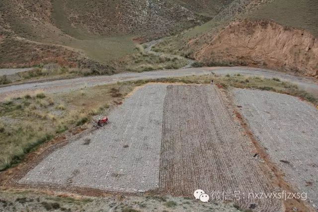 硒砂瓜主要卖什么产品(硒砂瓜批发)-硒宝网