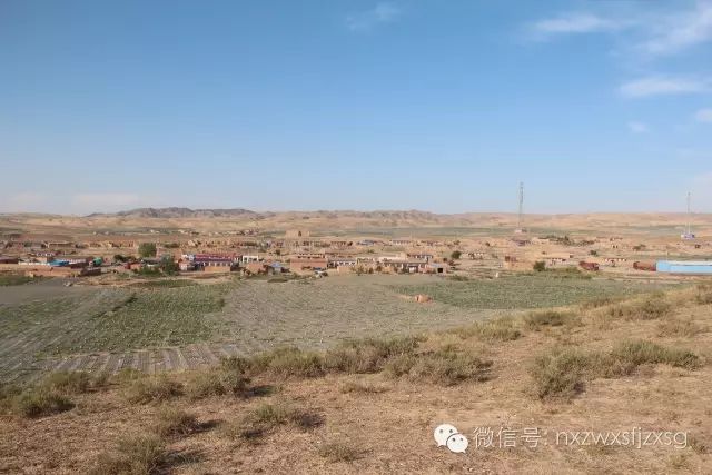 硒砂瓜主要卖什么产品(硒砂瓜批发)-硒宝网