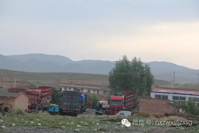 硒砂瓜主要卖什么产品(硒砂瓜批发)-硒宝网