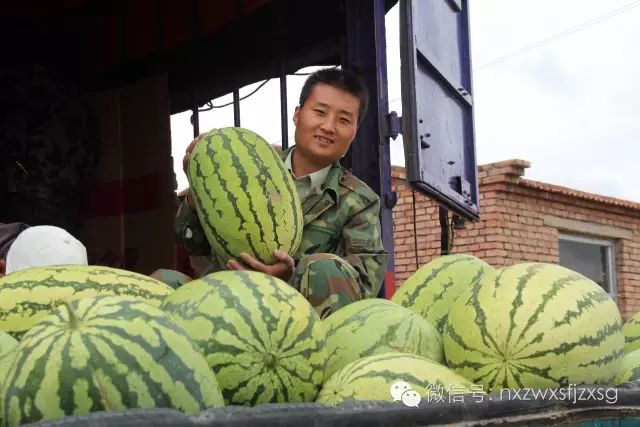 硒砂瓜主要卖什么产品(硒砂瓜批发)-硒宝网