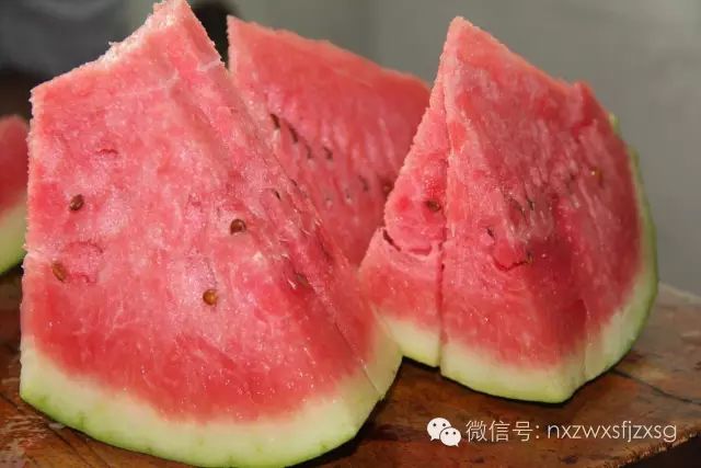 硒砂瓜主要卖什么产品(硒砂瓜批发)-硒宝网