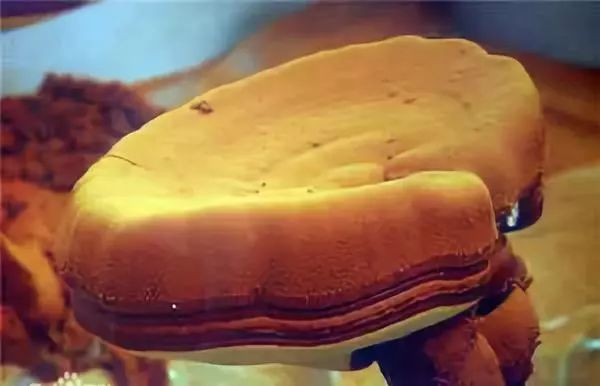 怎样检验产品的含硒量（硒含量检测仪器）-硒宝网