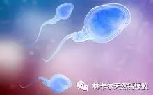 备孕哪个锌硒产品最好（备孕补锌硒）-硒宝网