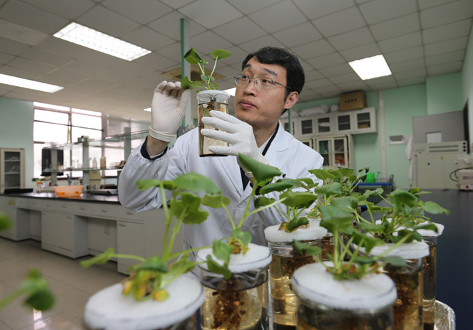 对中志集团硒产品的人（中志集团硒产品多钱）-硒宝网