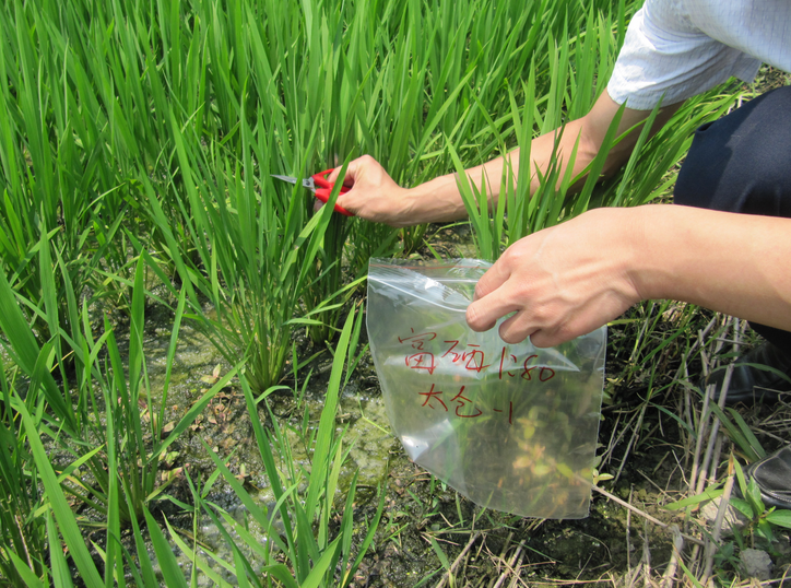 对中志集团硒产品的人（中志集团硒产品多钱）-硒宝网