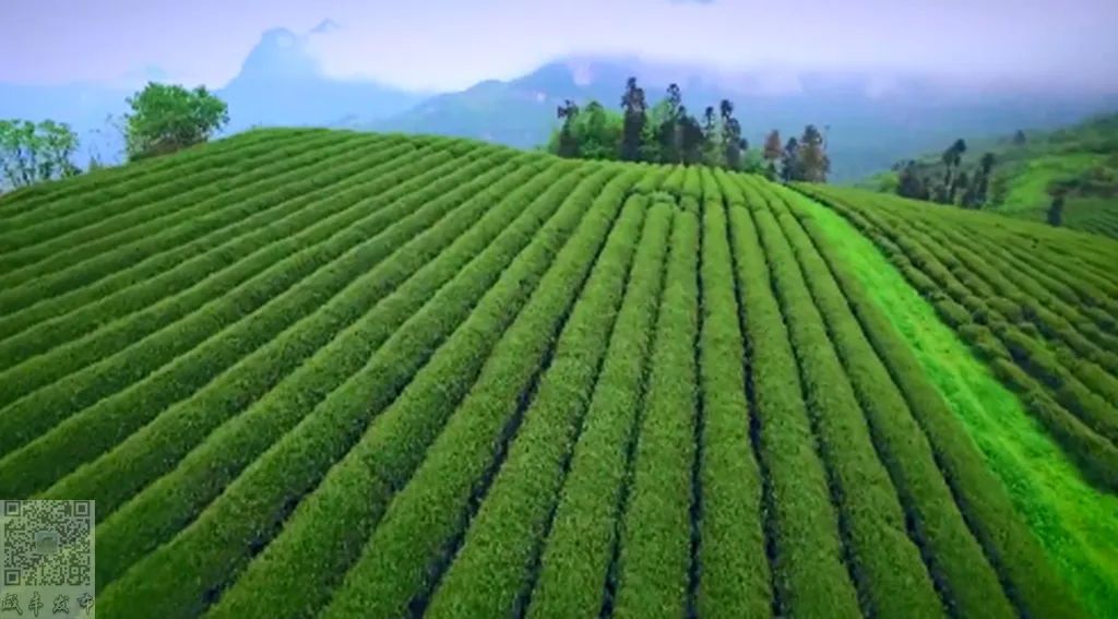 湖北含硒的产品有些啥(湖北硒分布图)-硒宝网