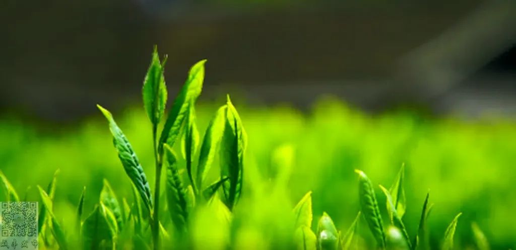 湖北含硒的产品有些啥(湖北硒分布图)-硒宝网