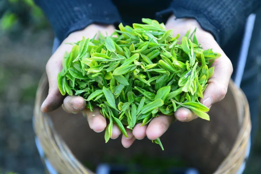 湖北含硒的产品有些啥(湖北硒分布图)-硒宝网