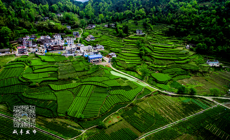 湖北含硒的产品有些啥(湖北硒分布图)-硒宝网