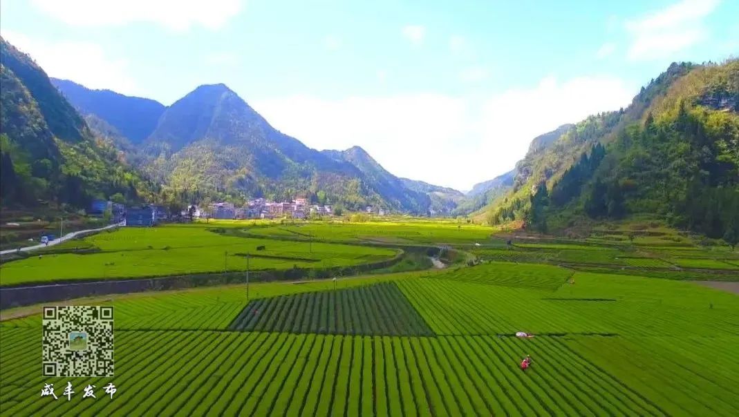 湖北含硒的产品有些啥(湖北硒分布图)-硒宝网