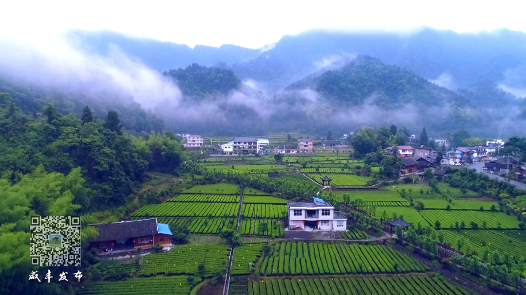 湖北含硒的产品有些啥(湖北硒分布图)-硒宝网