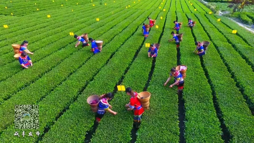 湖北含硒的产品有些啥(湖北硒分布图)-硒宝网