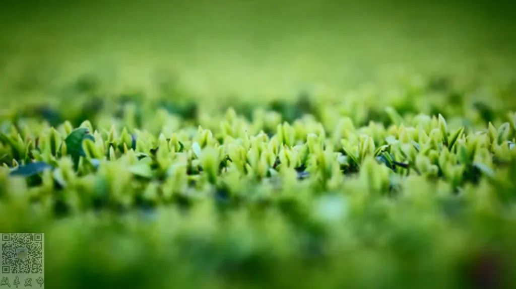 湖北含硒的产品有些啥(湖北硒分布图)-硒宝网