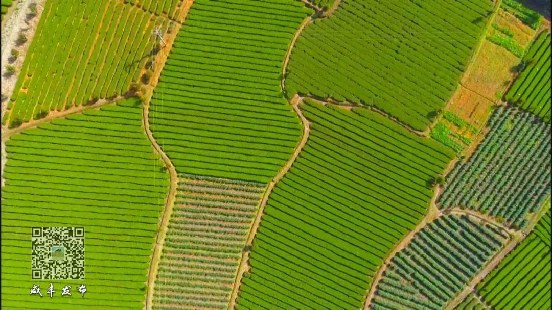 湖北含硒的产品有些啥(湖北硒分布图)-硒宝网