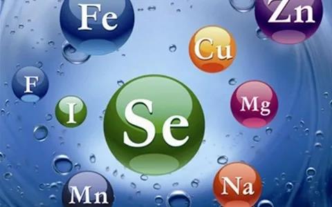 中志集团玉米硒铬产品(铬对玉米幼苗生长发育的影响)-硒宝网