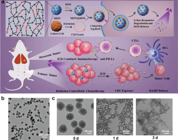纳米硒产品的开发利用（纳米硒的制备方法）-硒宝网