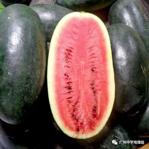 硒砂瓜农产品地理标志(中国硒砂瓜之乡)-硒宝网