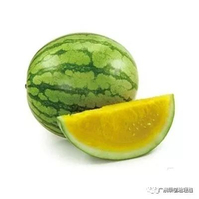 硒砂瓜农产品地理标志(中国硒砂瓜之乡)-硒宝网