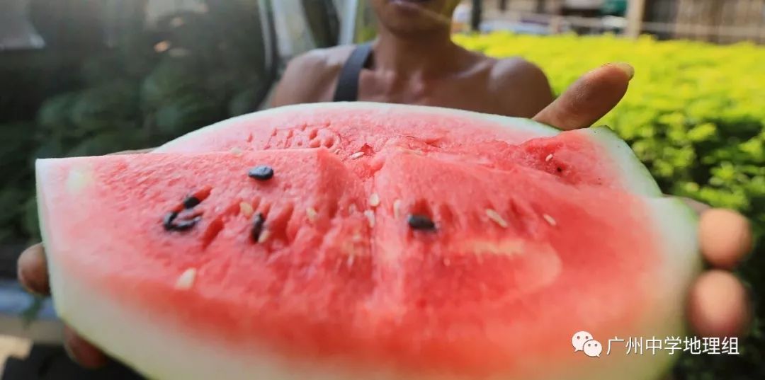 硒砂瓜农产品地理标志(中国硒砂瓜之乡)-硒宝网