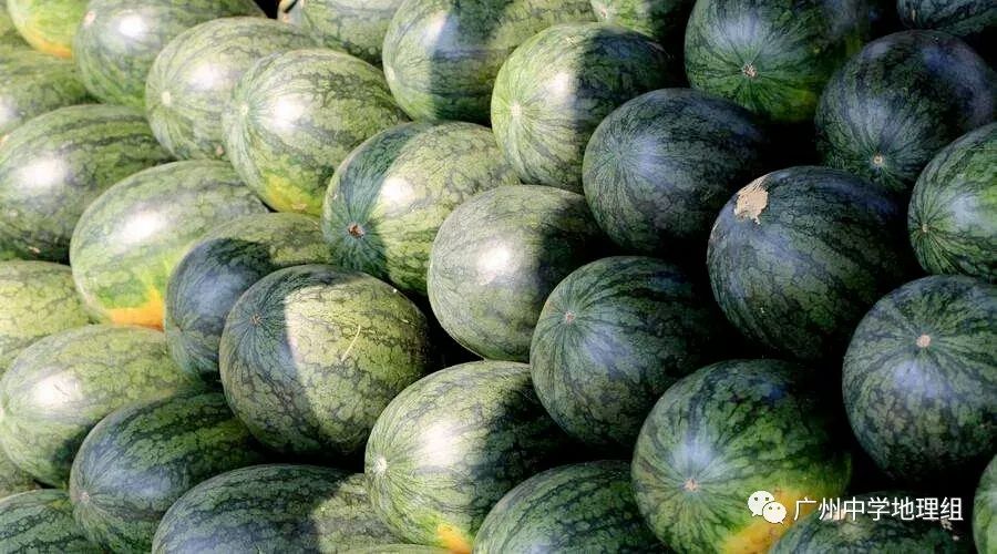 硒砂瓜农产品地理标志(中国硒砂瓜之乡)-硒宝网