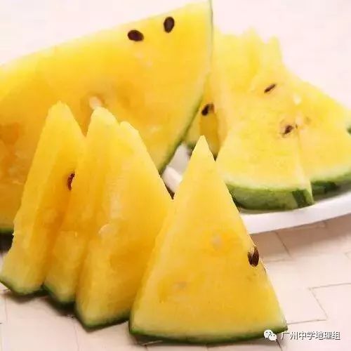 硒砂瓜农产品地理标志(中国硒砂瓜之乡)-硒宝网