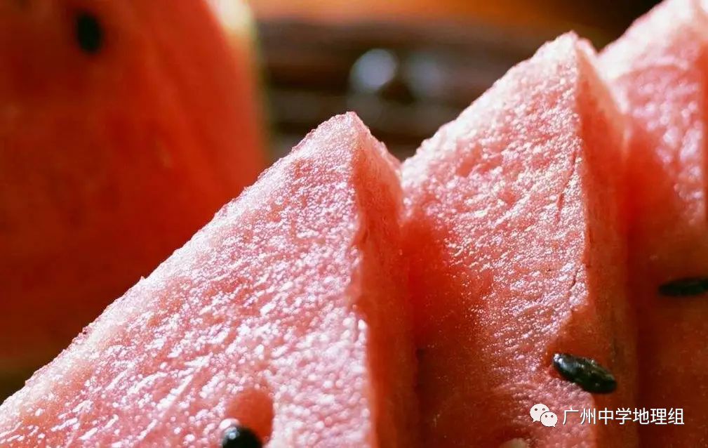 硒砂瓜农产品地理标志(中国硒砂瓜之乡)-硒宝网