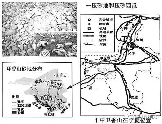 硒砂瓜农产品地理标志(中国硒砂瓜之乡)-硒宝网
