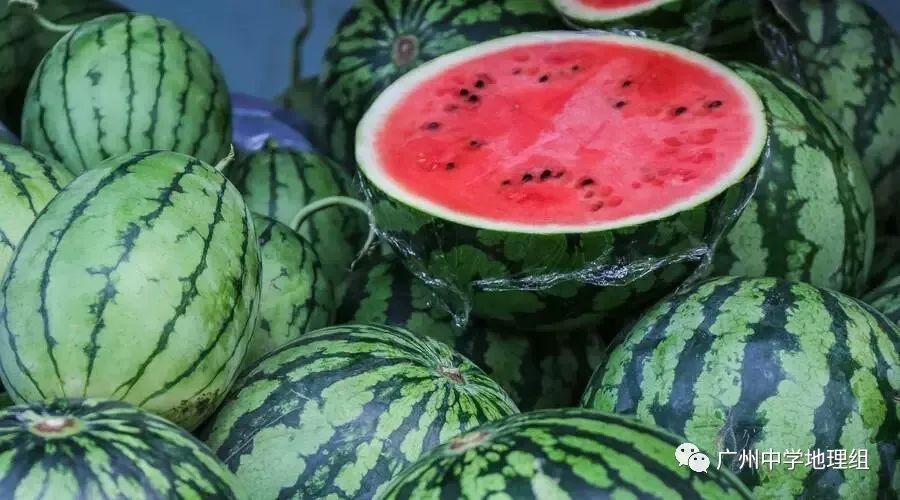 硒砂瓜农产品地理标志(中国硒砂瓜之乡)-硒宝网