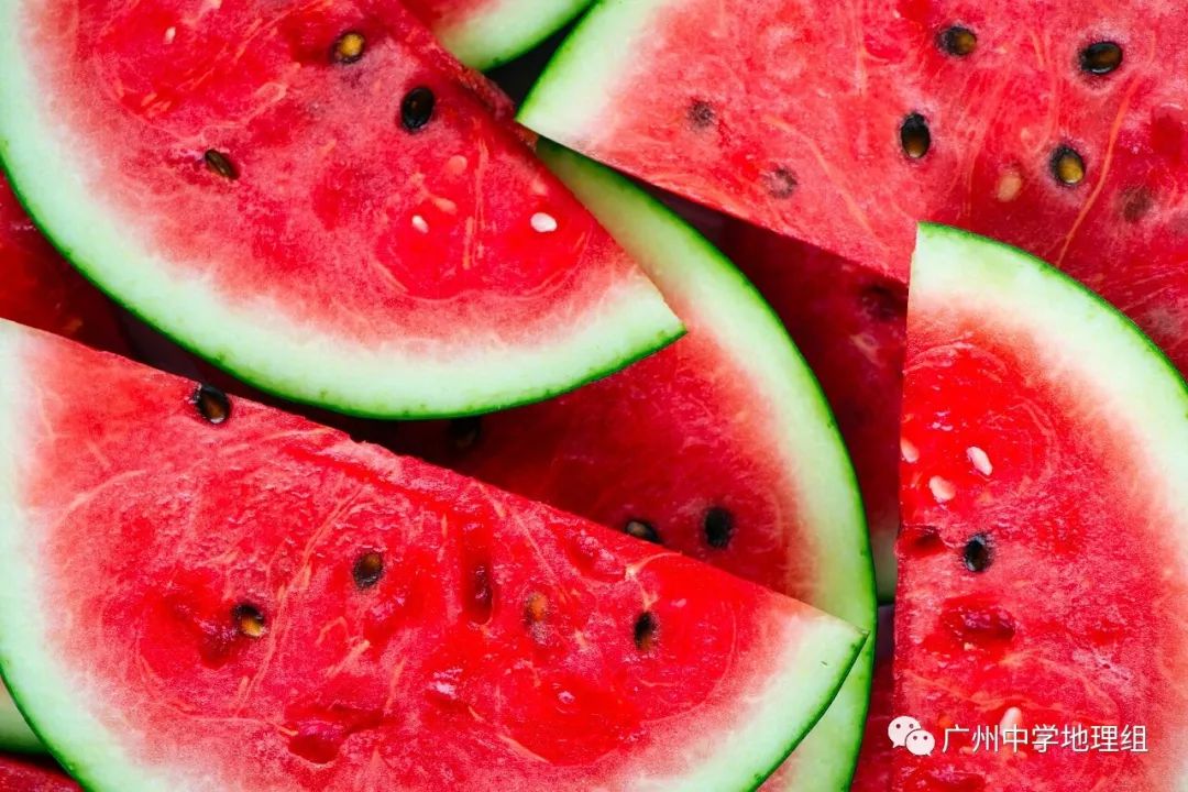 硒砂瓜农产品地理标志(中国硒砂瓜之乡)-硒宝网