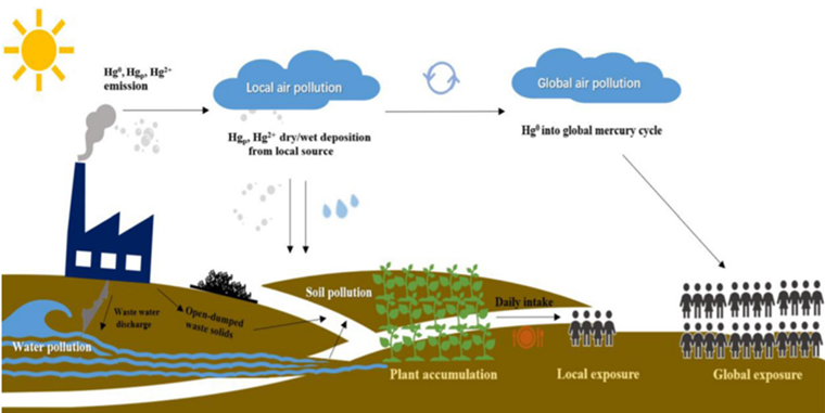 水产品中硒的含量标准(水中硒含量超标)-硒宝网