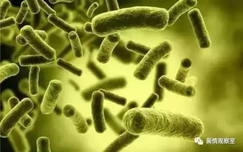 补铁补钙(补钙补铁的食物有哪些)-硒宝网