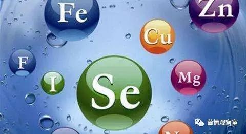 补铁补钙(补钙补铁的食物有哪些)-硒宝网