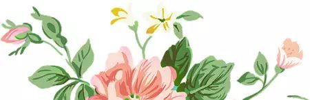 海产品中含有硒元素吗(含硒的海鲜有哪些种类)-硒宝网