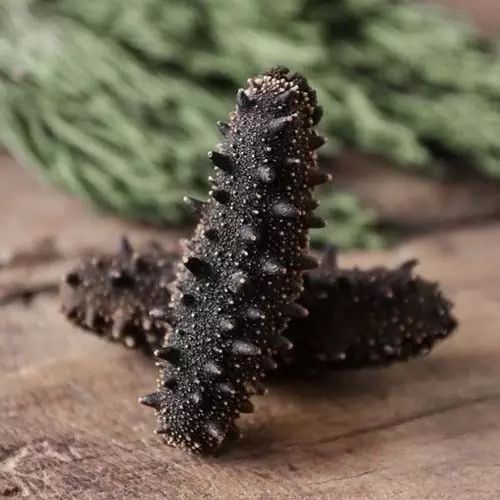 海产品中含有硒元素吗(含硒的海鲜有哪些种类)-硒宝网