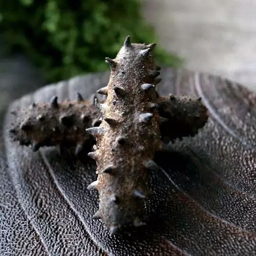 海产品中含有硒元素吗(含硒的海鲜有哪些种类)-硒宝网