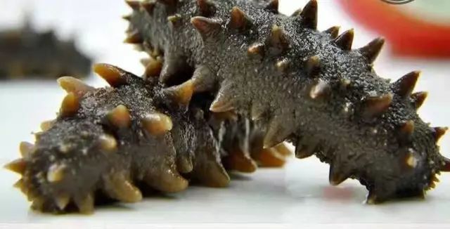 海产品都含有丰富的硒(海产品硒含量高吗)-硒宝网