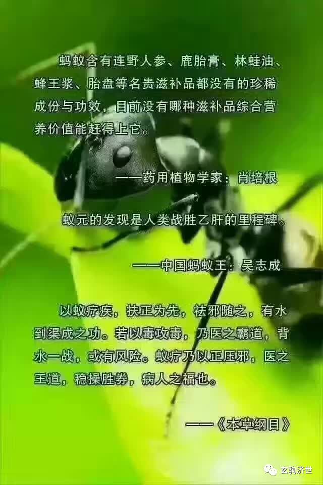 超微系列碘钴硒铬产品(铬合碘怎样用)-硒宝网