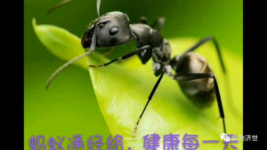 超微系列碘钴硒铬产品(铬合碘怎样用)-硒宝网