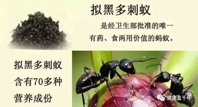 超微系列碘钴硒铬产品(铬合碘怎样用)-硒宝网