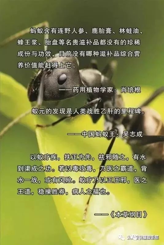 超微系列碘钴硒铬产品（铬和硒的作用）-硒宝网