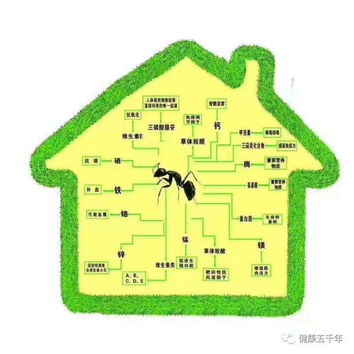 超微系列碘钴硒铬产品（铬和硒的作用）-硒宝网